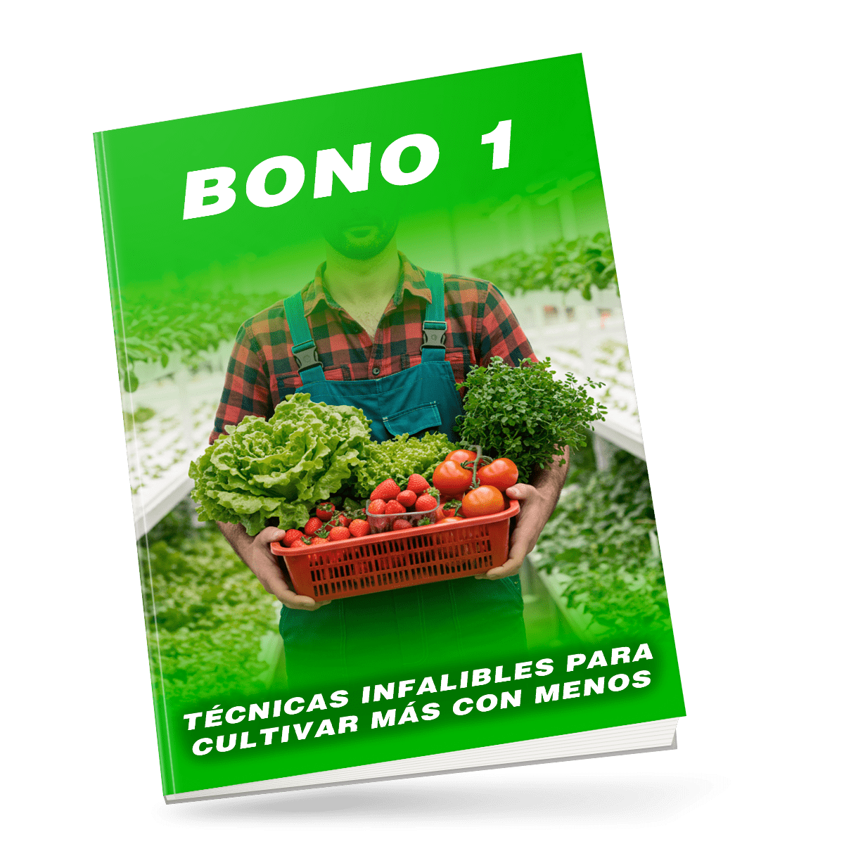 Portada del Bono 1: técnicas infalibles para cultivar más con menos