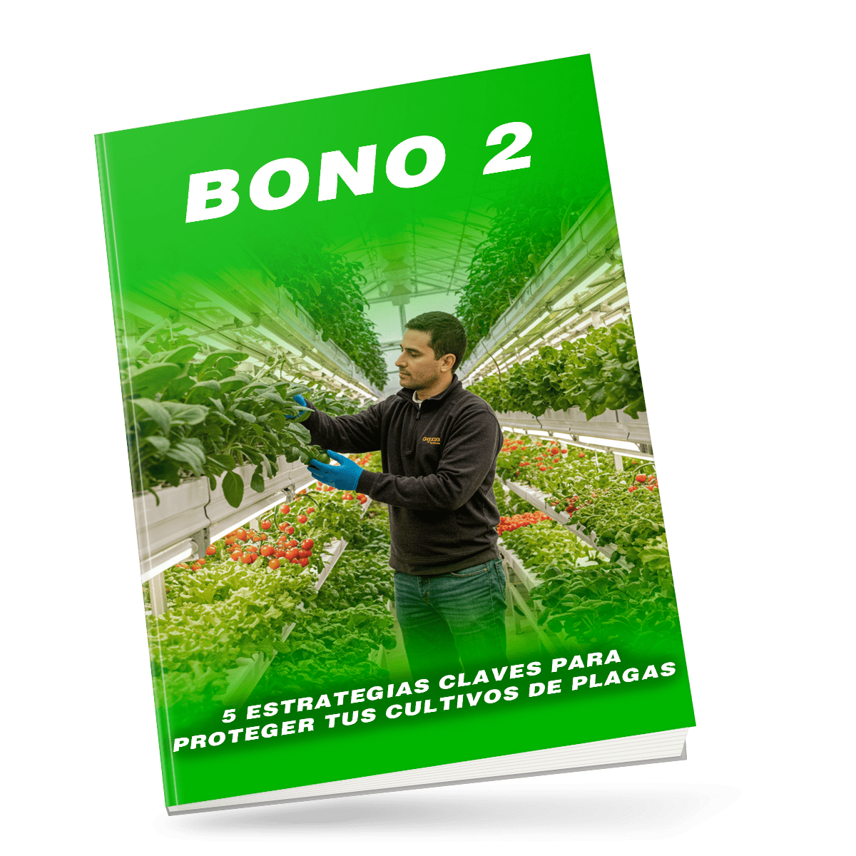 Portada del Bono 2: 5 estrategias claves para proteger tus cultivos de plagas